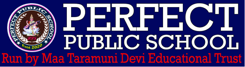 PERFECT PUBLIC SCHOOL Logo