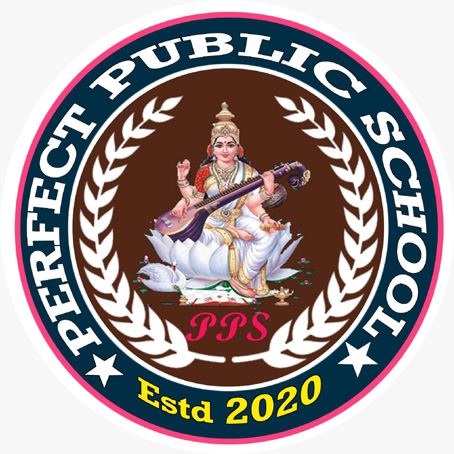 PERFECT PUBLIC SCHOOL Logo